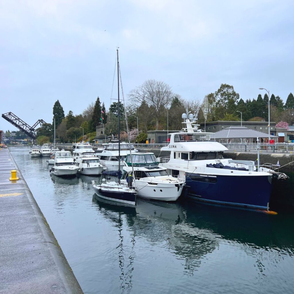 Ballard Locks Seattle
