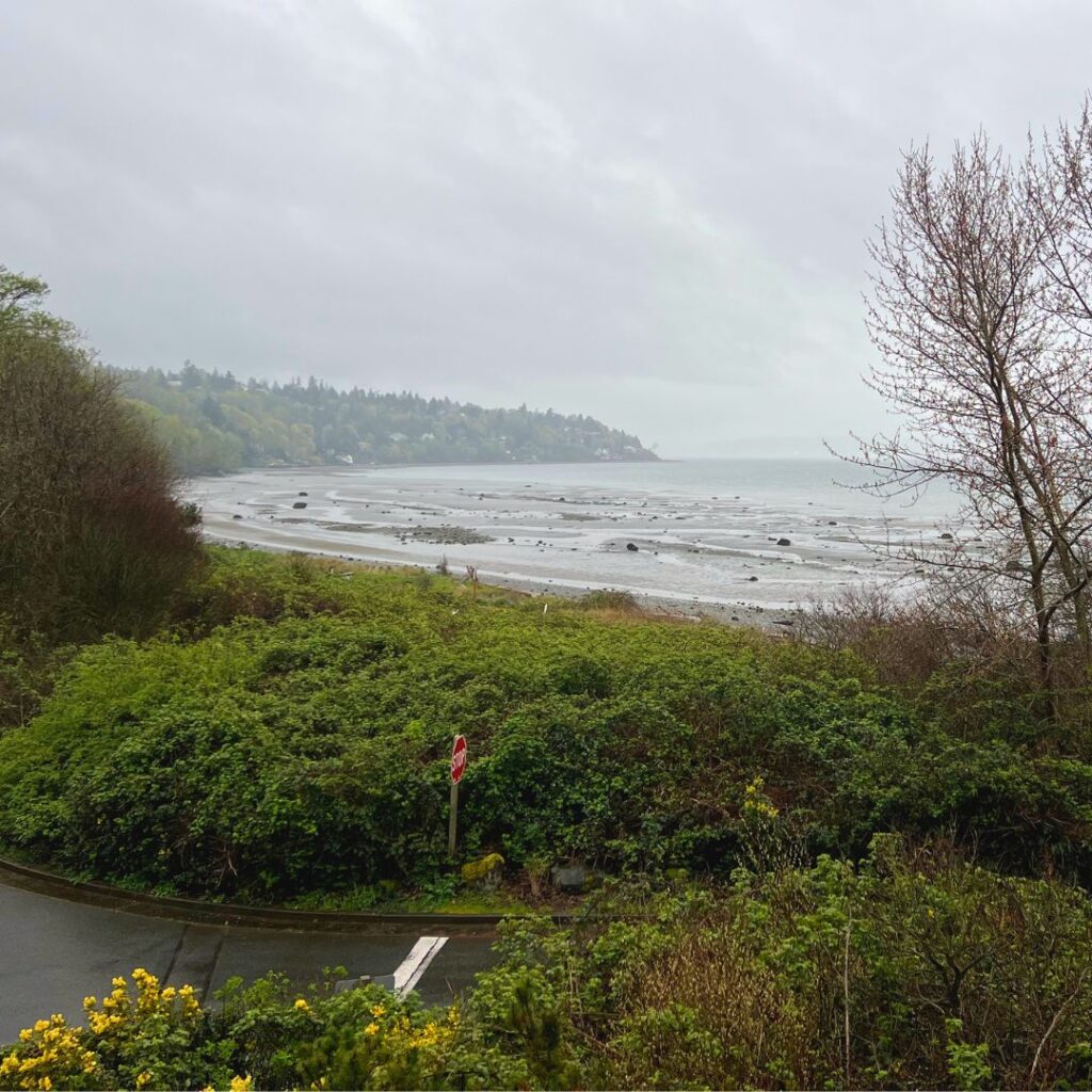 Discovery Park Beach Seattle