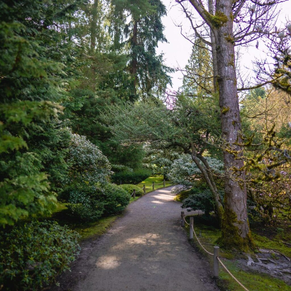 Hiking trail near Seattle