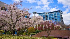 Outdoorsy Things to Do in Seattle