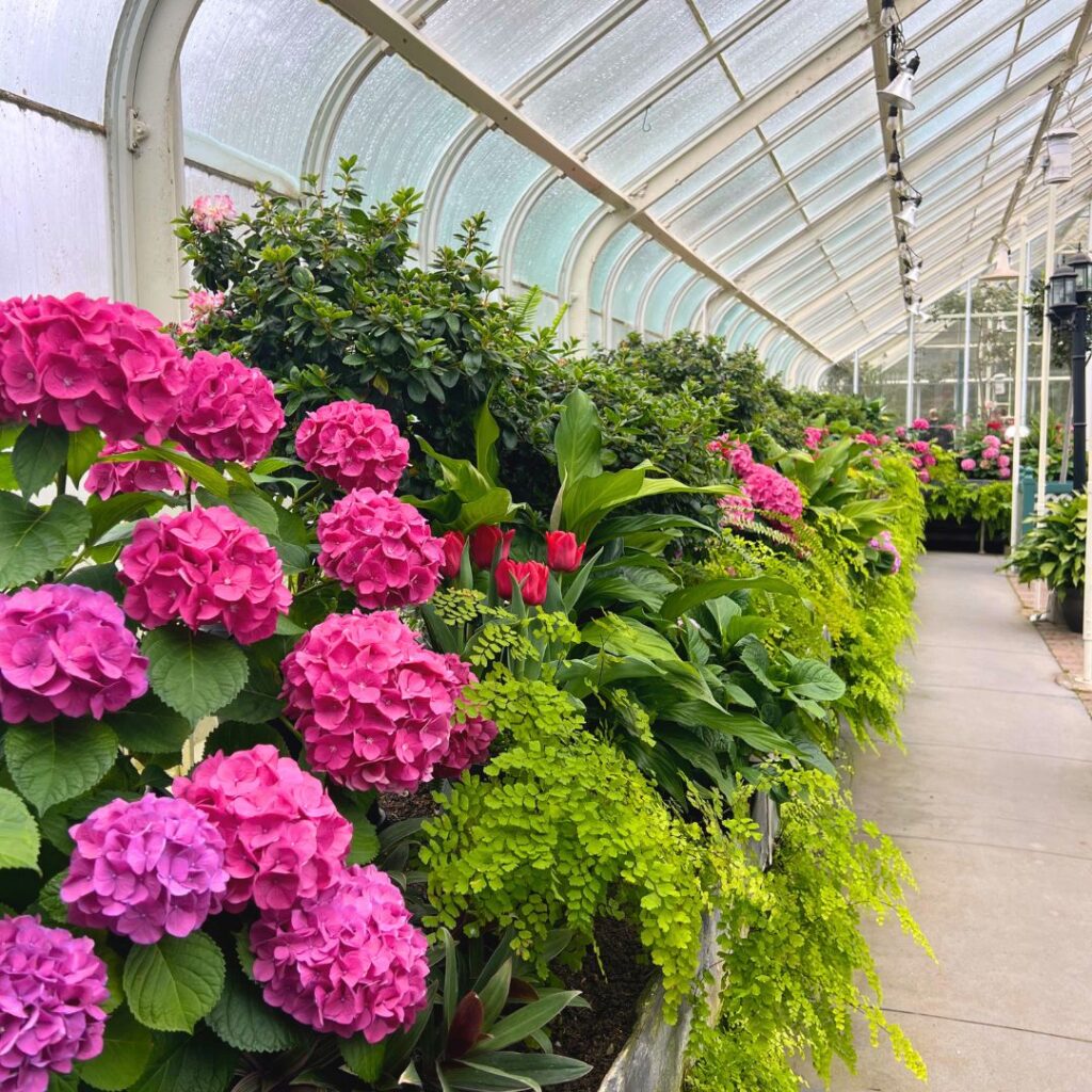 Volunteer Park Conservatory Seattle