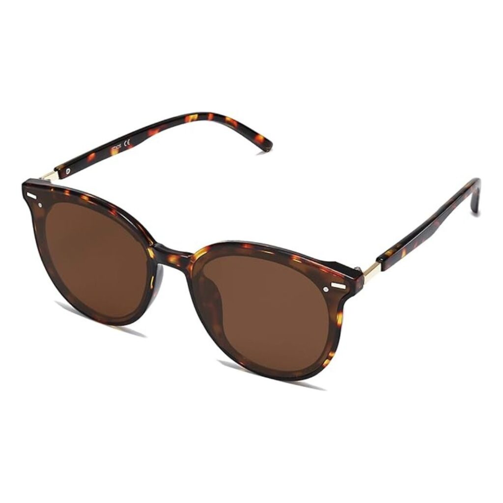 Dark Brown Sunglasses