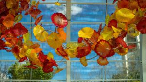 Things to Do on a Rainy Day in Seattle