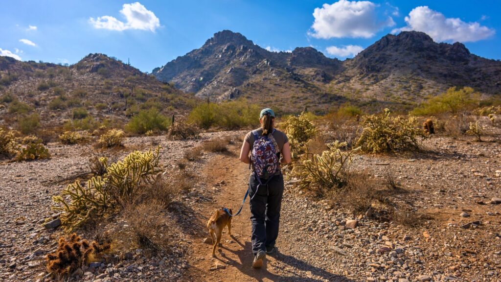 Best Hikes Near Phoenix - Woman hiking with her dog