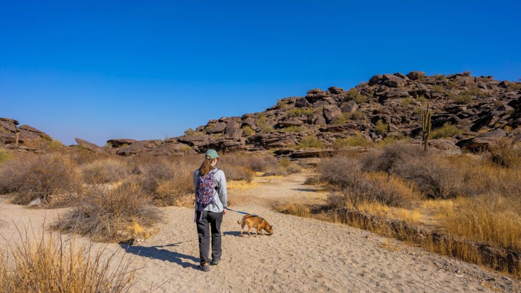 Pima Wash Hike Phoenix, Arizona