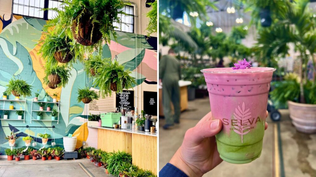 Selva Coffee San Diego