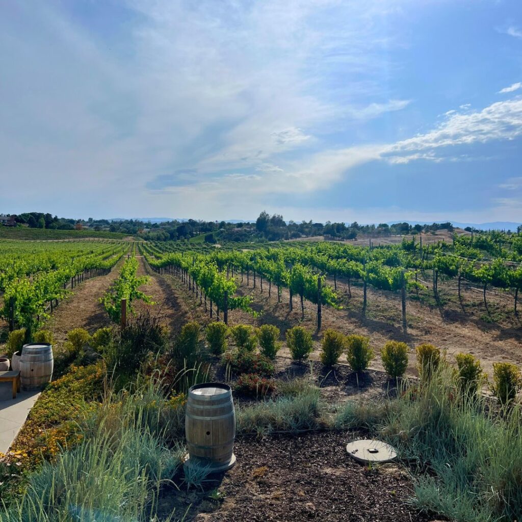 Sunny day at Temecula CA Winery