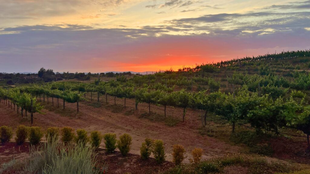 Sunset in Temecula CA Winery