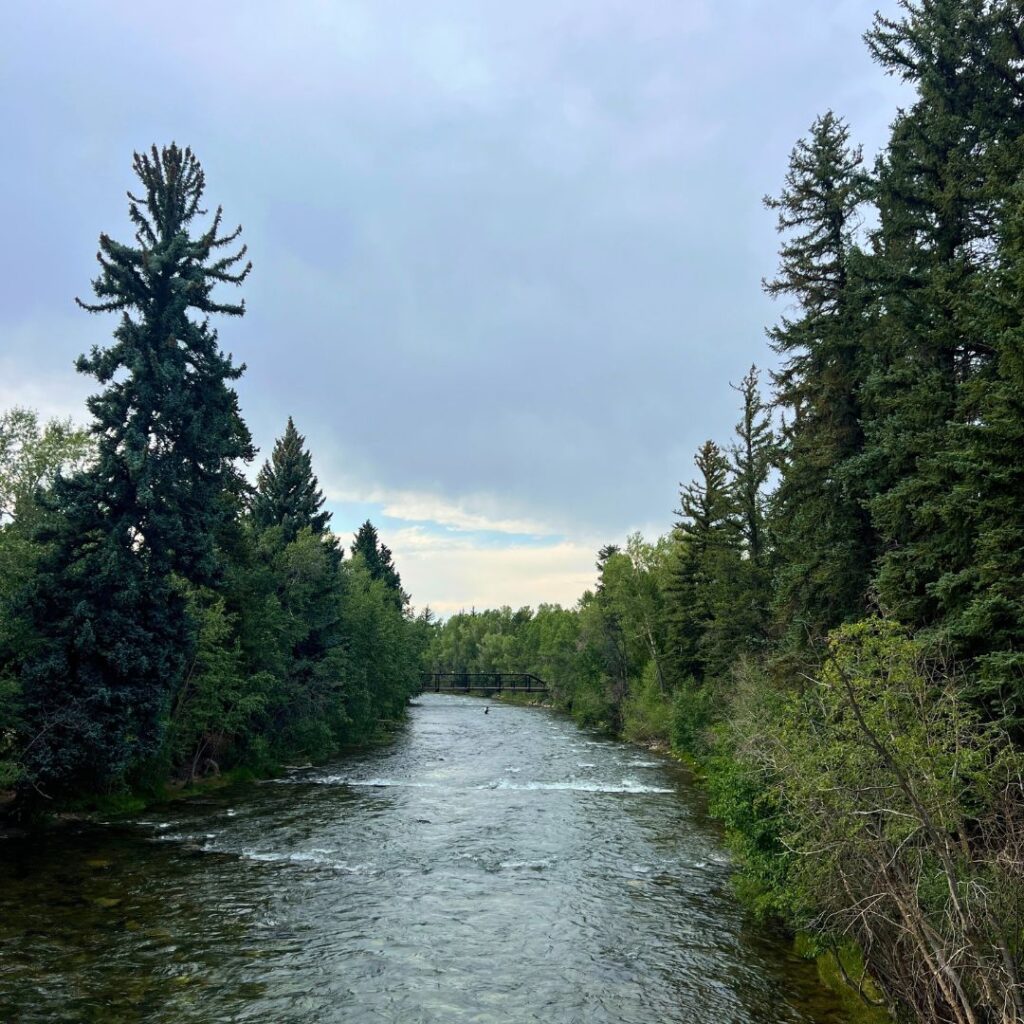 River View in Frisco Colorado