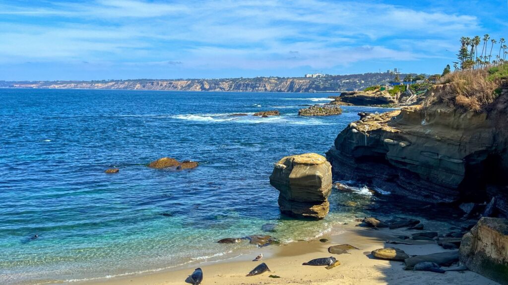View of the ocean on the San Diego coast